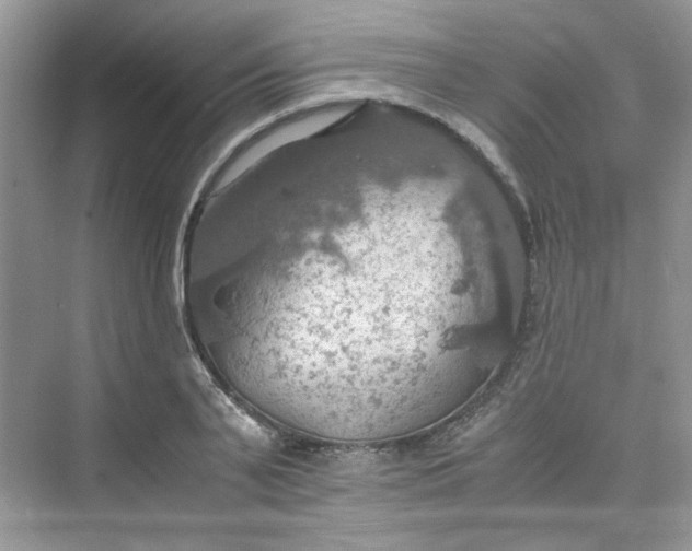 X0000075810791200609291344