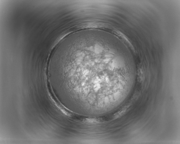 X0000075810794200609291344