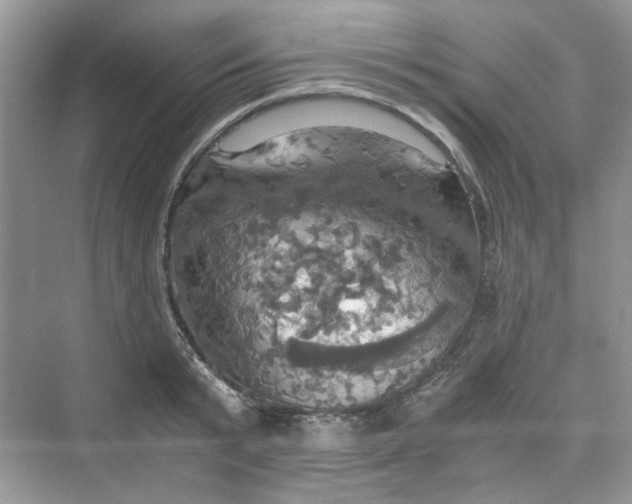 X0000075810799200609291344