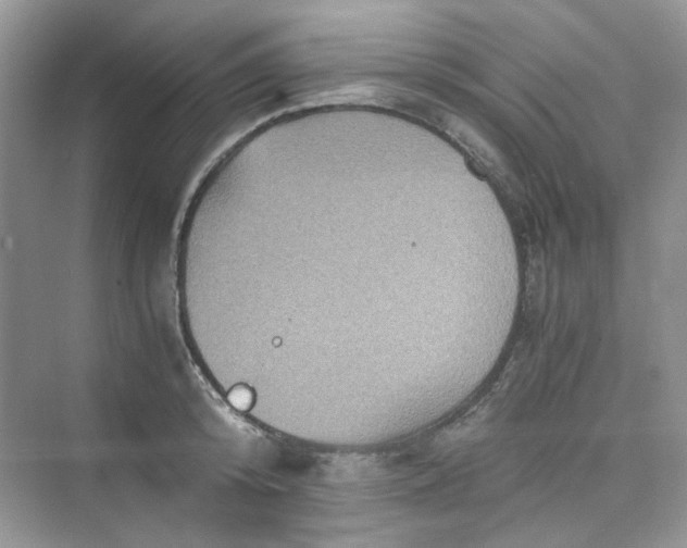 X0000075810800200609291344