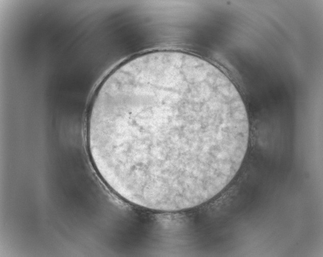 X0000075810804200609291343