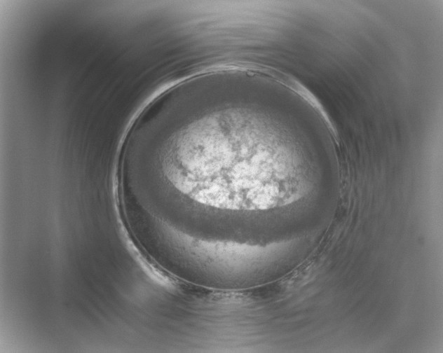 X0000075810811200609291343