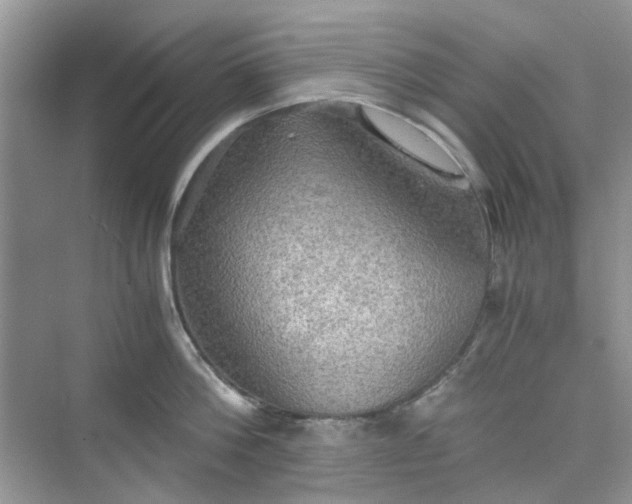 X0000075810812200609291343