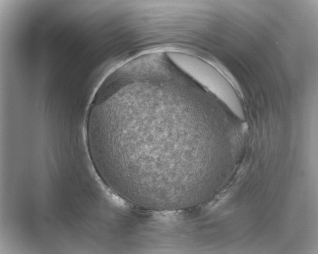 X0000075810813200609291343