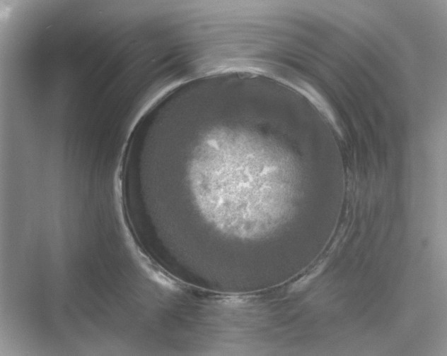 X0000075810814200609291343