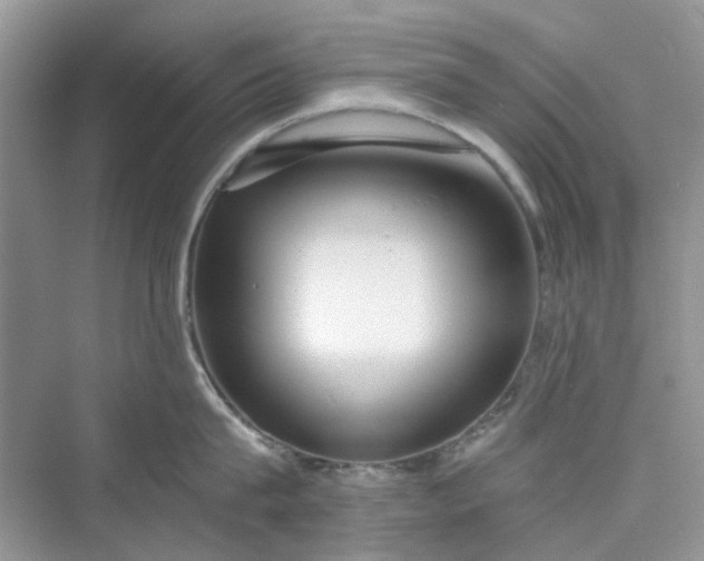 X0000075810815200609291343