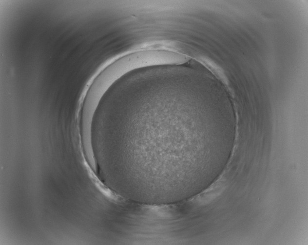 X0000075810816200609291343