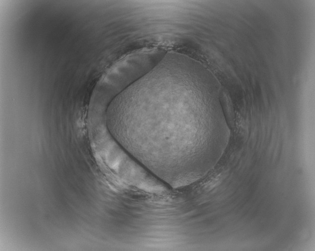 X0000075810818200609291342