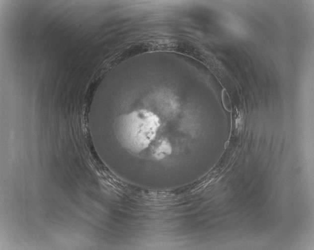 X0000075810819200609291342