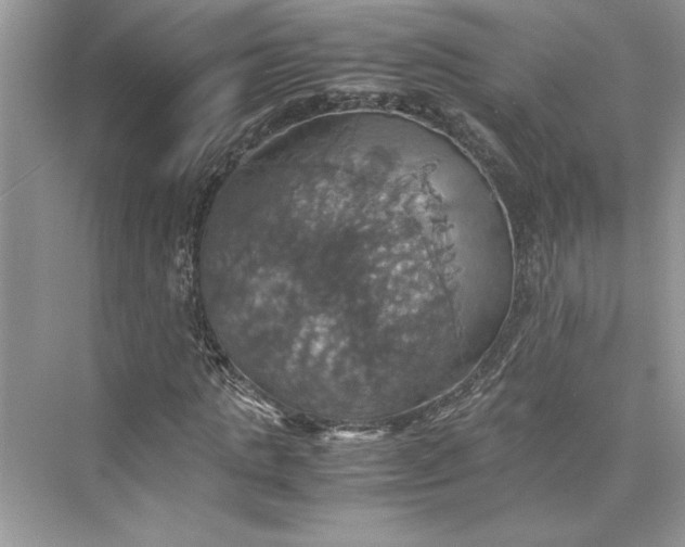 X0000075810821200609291342