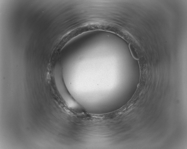 X0000075810822200609291343