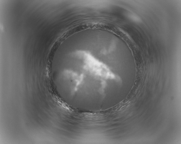 X0000075810823200609291343