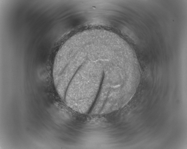 X0000075810824200609291343