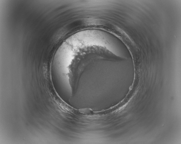 X0000075810825200609291343