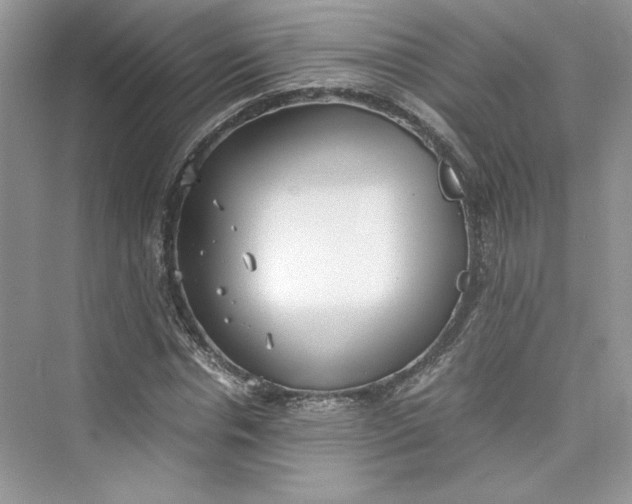 X0000075810826200609291343