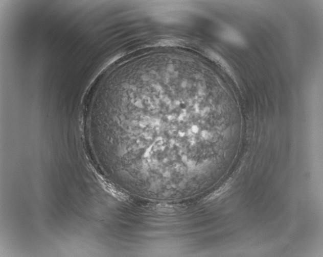 X0000075810827200609291343