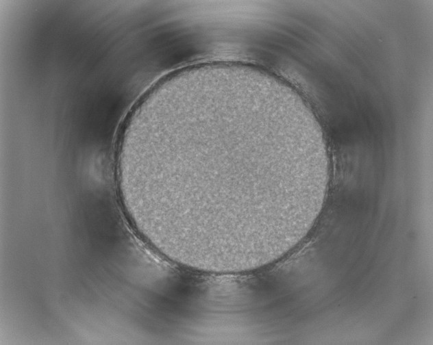 X0000075810828200609291343