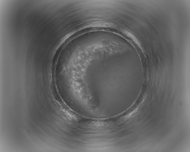 X0000075810829200609291343