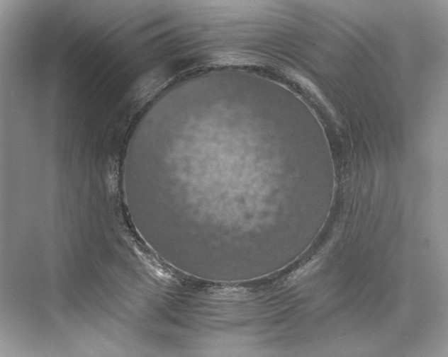 X0000075810833200609291343