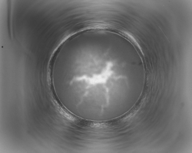 X0000075810835200609291343