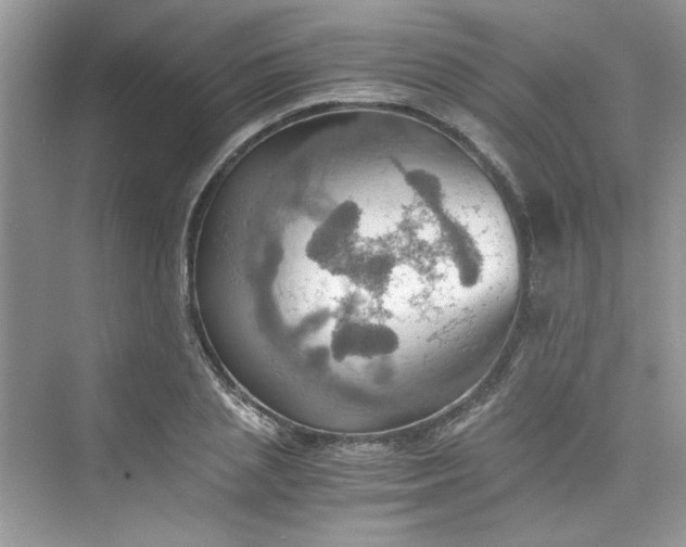 X0000075810837200609291343