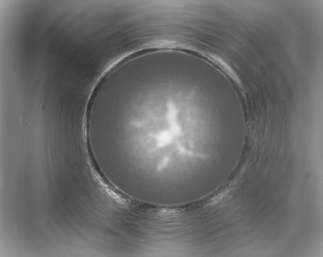 X0000075810839200609291343