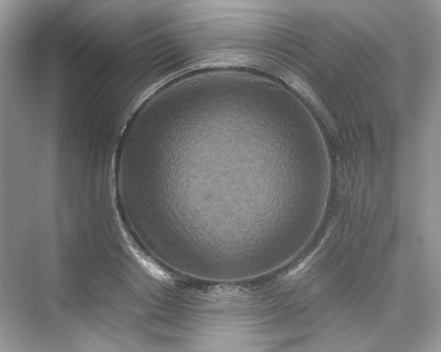 X0000075810842200609291343