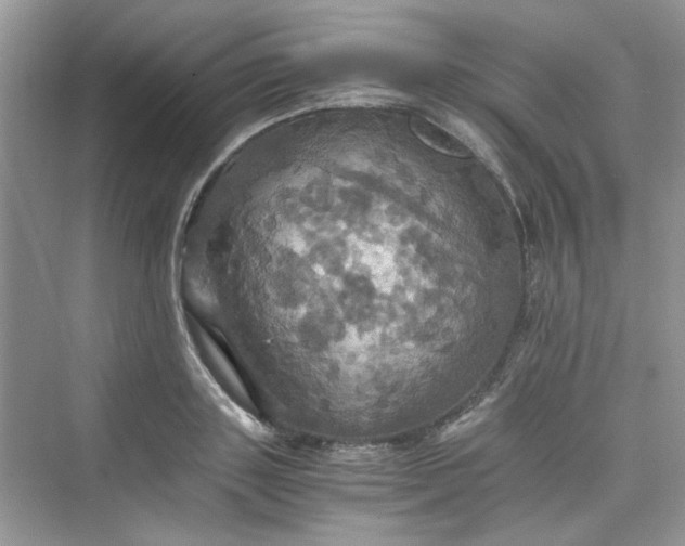 X0000075810843200609291343