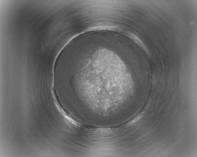 X0000075810844200609291343