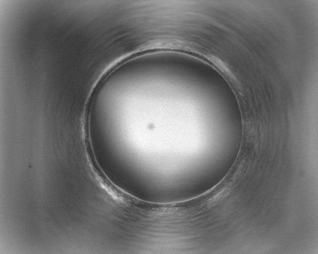 X0000075810846200609291343