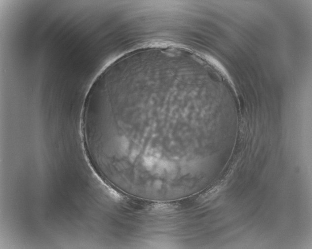 X0000075810847200609291343