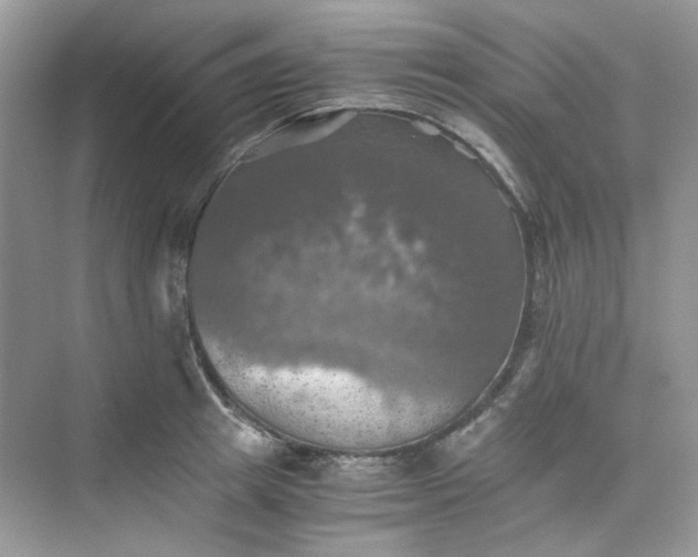 X0000075810849200609291343