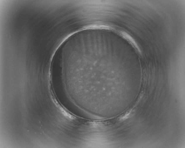 X0000075810852200609291343