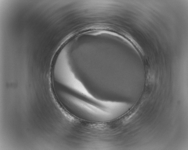 X0000075810853200609291343