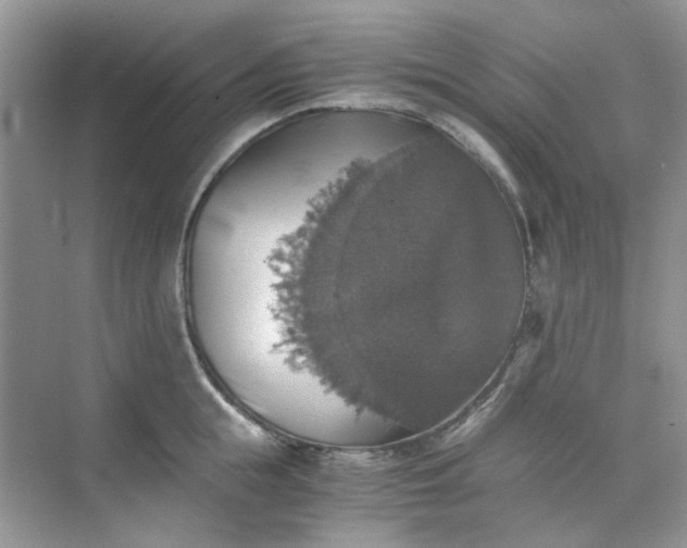 X0000075810855200609291343