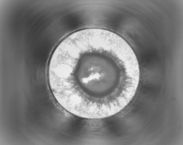 X0000075810856200609291343