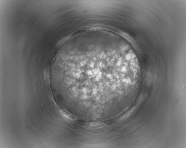 X0000075810857200609291343