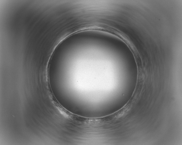 X0000075810858200609291343