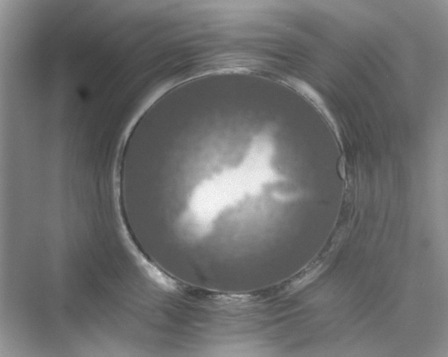 X0000075810859200609291343