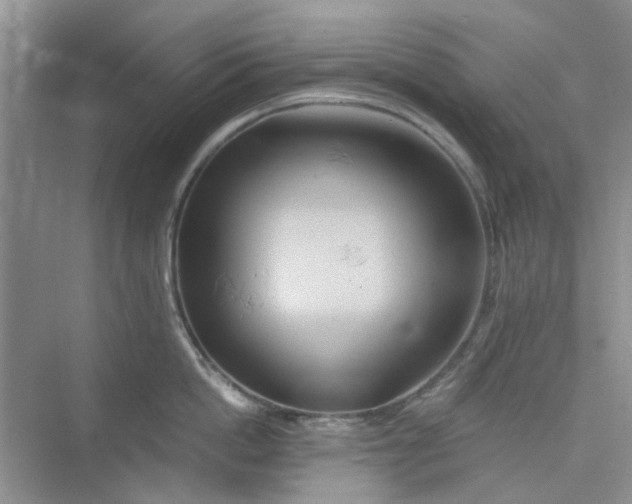 X0000075810862200609291343