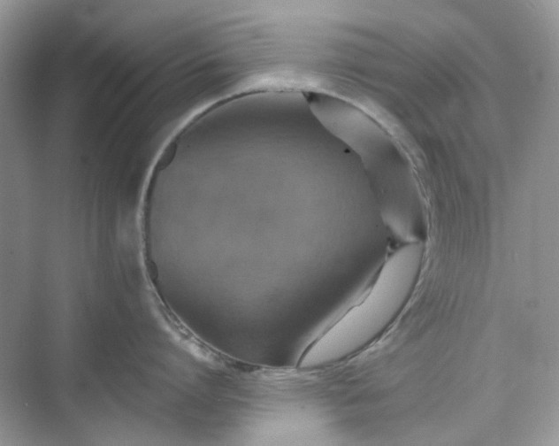 X0000075810864200609291343