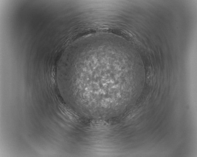 X0000075810866200609291342