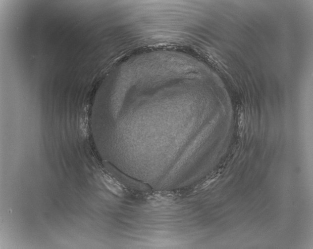 X0000075810868200609291342