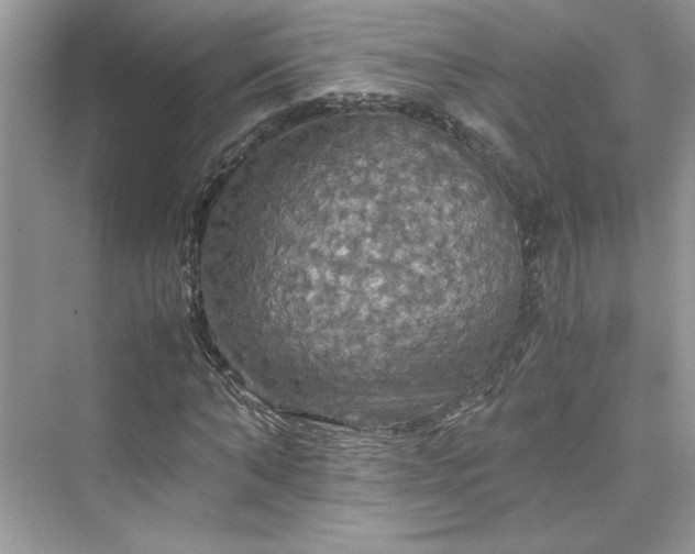 X0000075810870200609291342