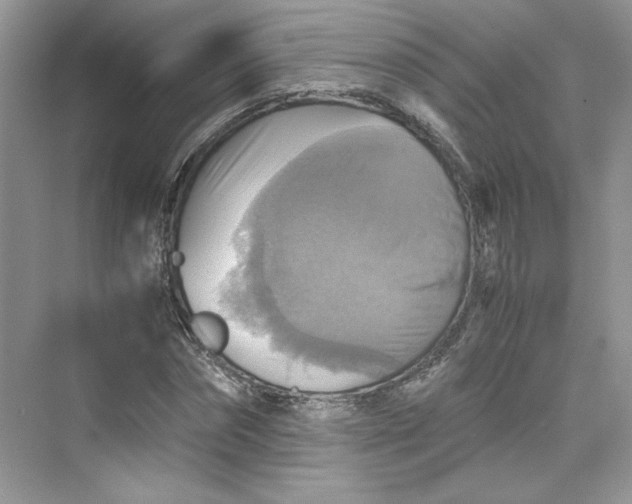 X0000075810874200609291342