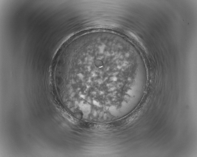 X0000075810875200609291342