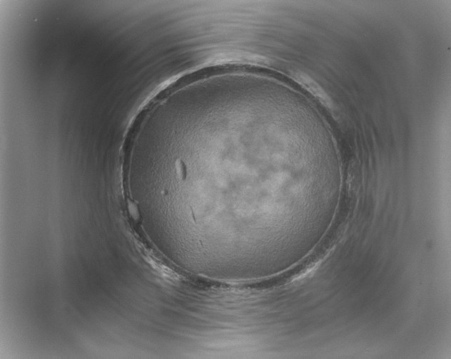 X0000075810877200609291342