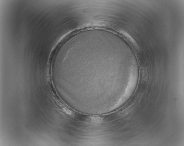 X0000075810878200609291342