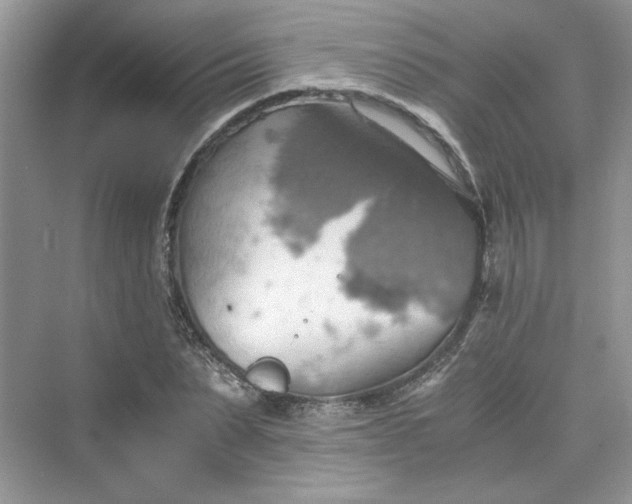 X0000075810879200609291342