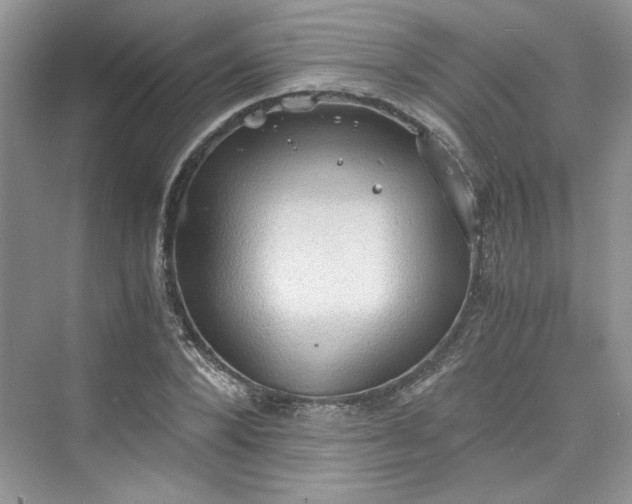 X0000075810880200609291342